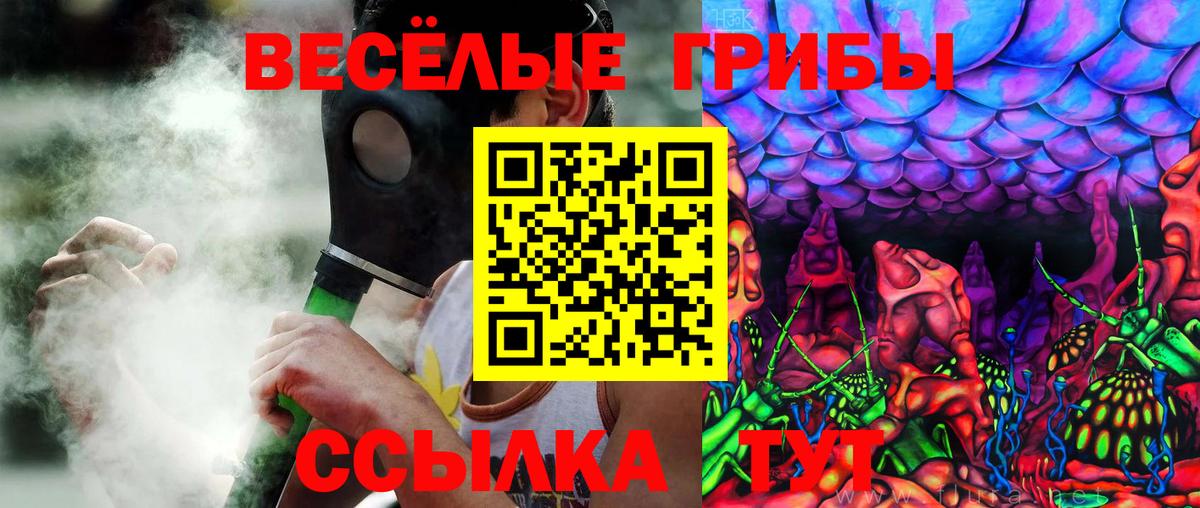Донецк  Псилоцибиновые грибы Psilocybe  Галлюциногенные грибы Psilocybine cubensis  Вход с VPN 