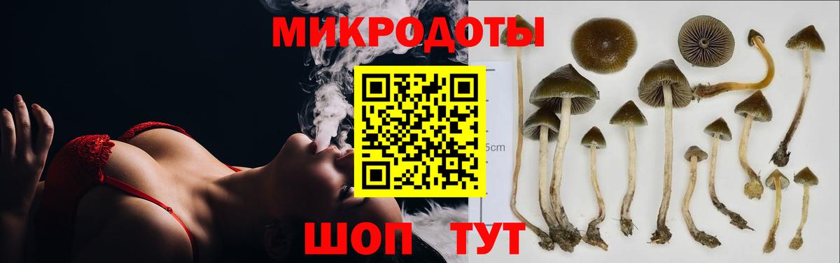 Псилоцибиновые грибы прущие грибы Донецк